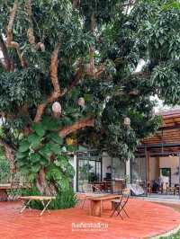 🏡 Lavellenic Cafe คาเฟ่เขาใหญ่สุดธรรมชาติ