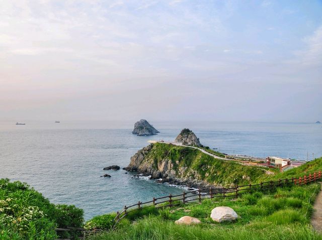 일출맛집! 수선화도 예쁜 오륙도해맞이공원🌅