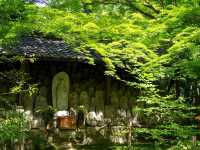 【京都市】静を感じて心洗う庭園🌿