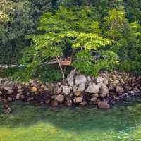 Treepod 