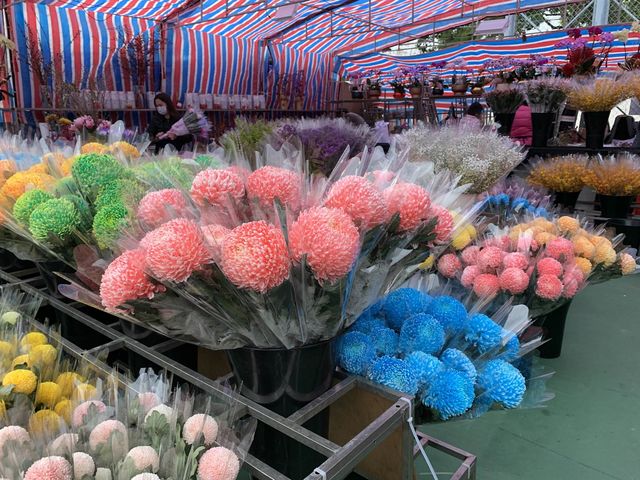 The Biggest Chinese New Year Flower Market In Hong Kong