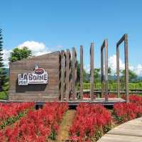 La Borne Point คาเฟ่เขาค้อ