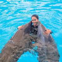 Dolphins Bay Phuket