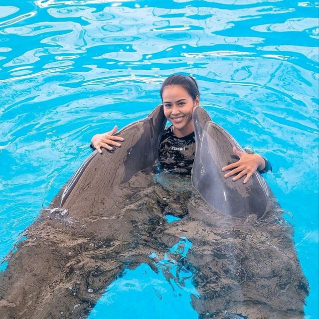 Dolphins Bay Phuket