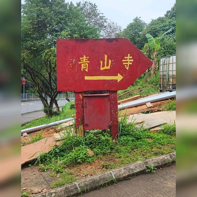 莫說青山多障礙~風也急風也勁😂