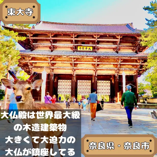 東大寺