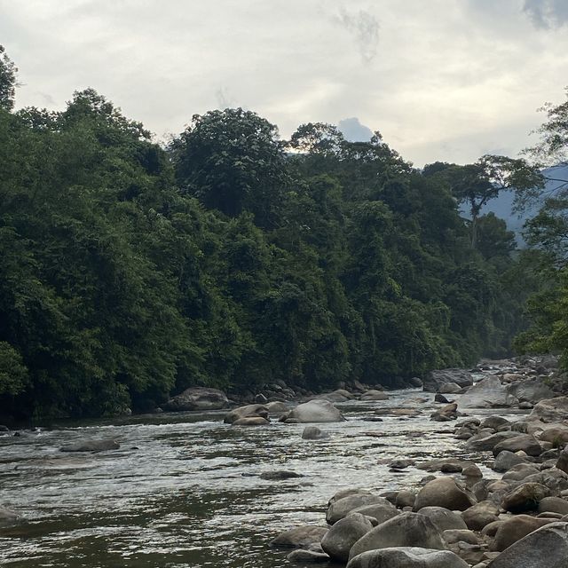 Discovering the Enchanting Pondok Kenerong