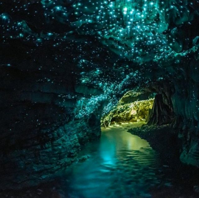ĐỘNG PHONG NHA
