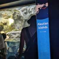 【ぜひ遊びに行って欲しい！】大阪最大の水族館