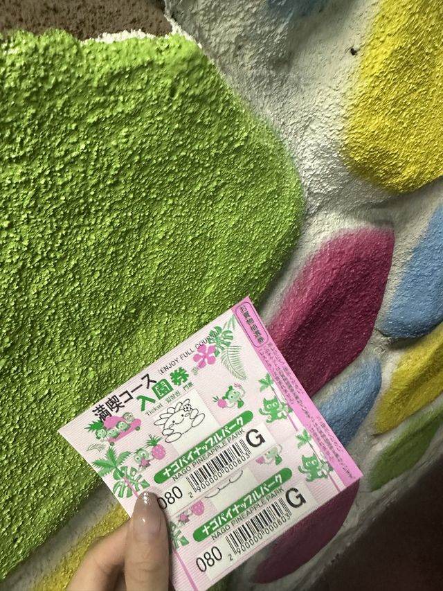 🌺沖縄 名護　パイナップルパーク🍍