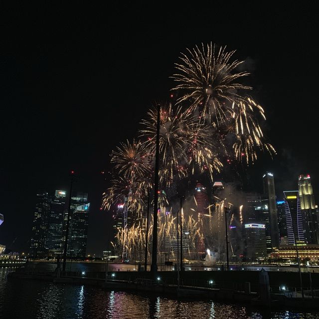 Best view of NDP Firework 🎇 