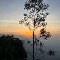 Sunrise at world's highest tea plantation 🌅