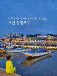 한적하게 즐기기 좋은 장림포구 야경✨️🎆