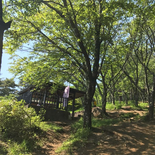 日本最美富士山景點，新倉山淺間公園