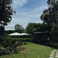 บ้านมังคุด Bann Munkud cafe  