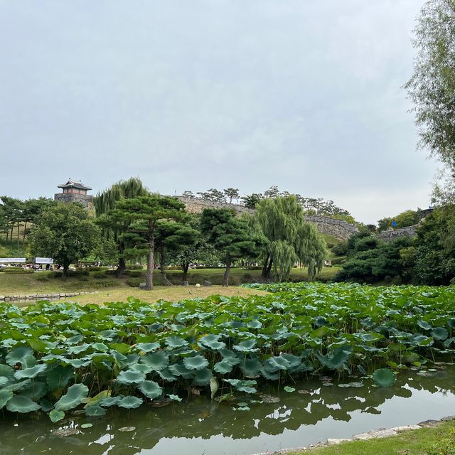 수원 사람들도 좋아하는 화성행궁🏰