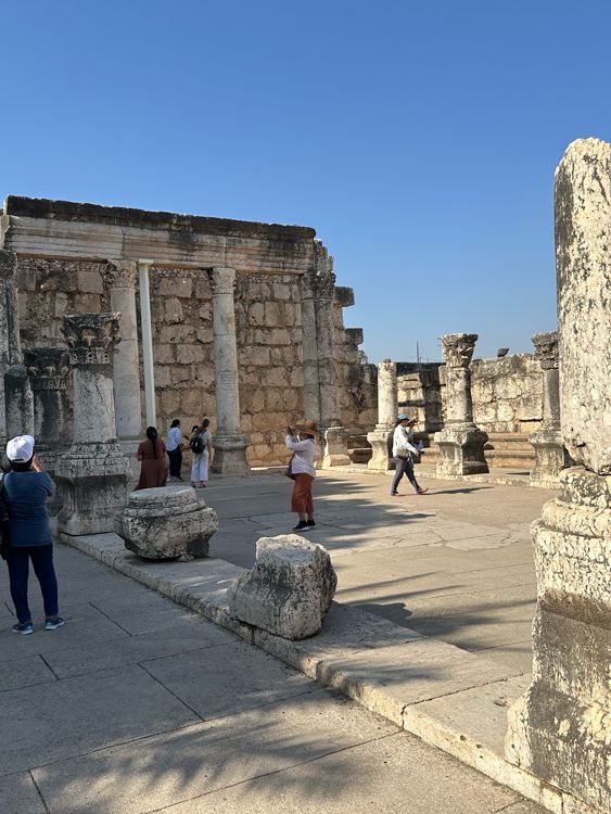 The Capernaum Synagogue 