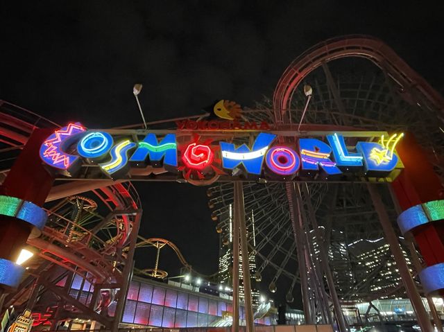 【神奈川】夜景を堪能できる遊園地🎡