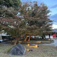 京都   平等院