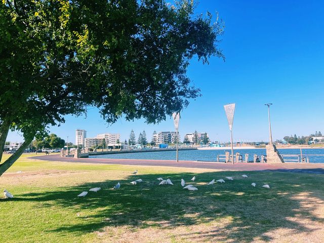 Leschenault Waterways! Pat Usher Memorial!📸🫣