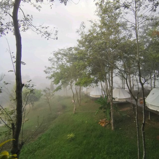 ภูรับหมอก​ เขาค้อ