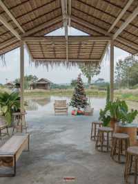 คาเฟ่ลับบรรยากาศดีที่เวียงป่าเป้า จ.เชียงราย