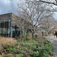 O'sulloc Tea Museum