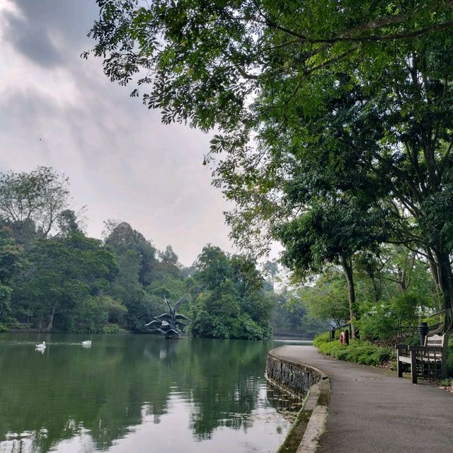 フォトジェニックな街シンガポール🇸🇬