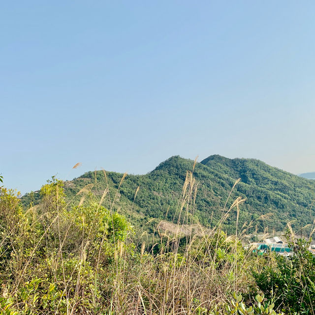 EASY Sea View Hike in HONG KONG🇭🇰