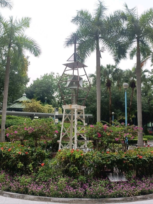 與你同行【卑路乍灣公園】,心靈來得平静,安穩!