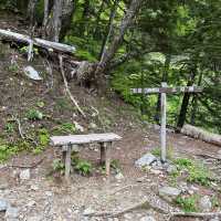 【山梨】いざ夏山へ！広河原から白根御池までの登山道