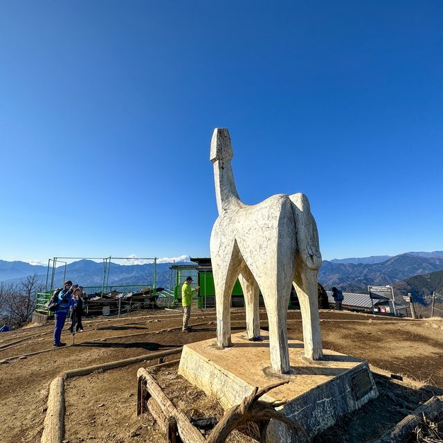 【東京】初心者にもおすすめ！富士山の見える陣馬山