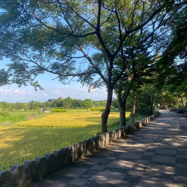 過嶺支渠休憩步道🐕