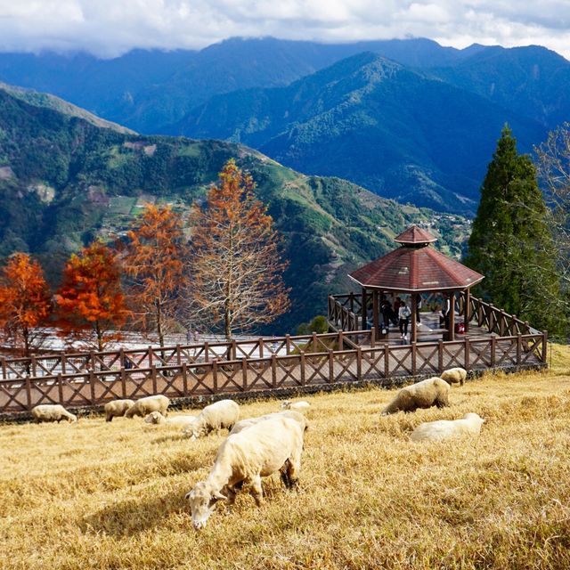 Picture-perfect Qingjing Farm, Taiwan