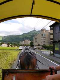 湯布院のおすすめ観光•グルメスポット
