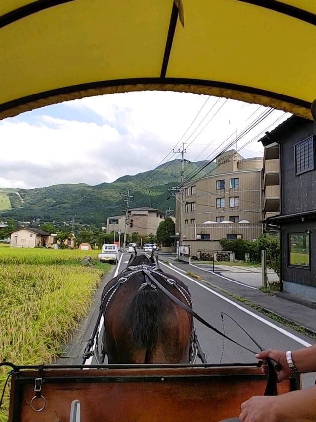 湯布院のおすすめ観光•グルメスポット