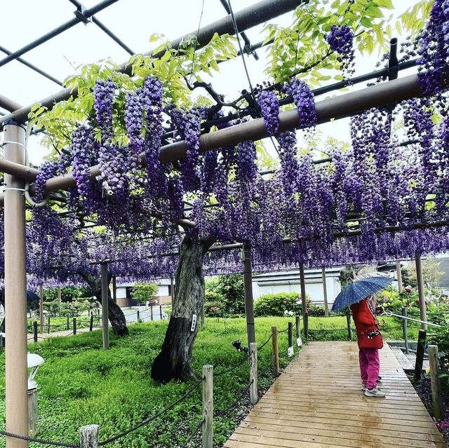 曼陀羅寺公園