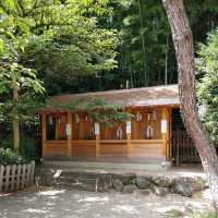 サクラサク 満願成就と芸能の神社　平野神社