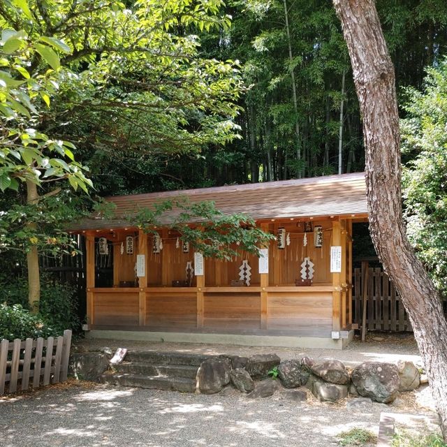 サクラサク 満願成就と芸能の神社　平野神社