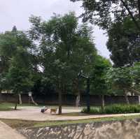 日出公園