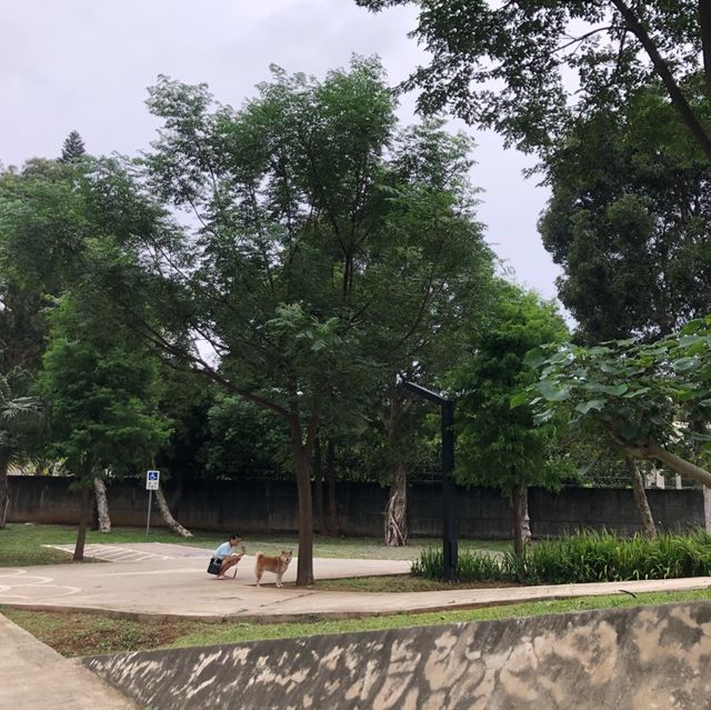 日出公園