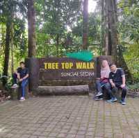 Luscious greenery at Tree Top Walk Sedim