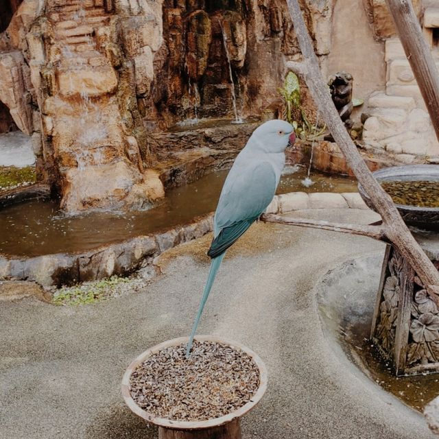 KL Bird Park, Kuala Lumpur