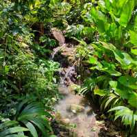 Tropical Spice Garden