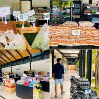 Nottyjourney เจอศูนย์ศึกษาการพัฒนาห้วยทราย