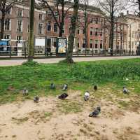 荷蘭🇳🇱海牙The Hague (Den Haag)🚶🏻‍♀️🚶🏿🚶🏻‍♂️ Hofvijver 散步看風景