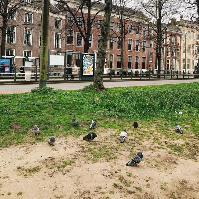 荷蘭🇳🇱海牙The Hague (Den Haag)🚶🏻‍♀️🚶🏿🚶🏻‍♂️ Hofvijver 散步看風景