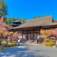 Joraku-ji: Zen Oasis Unveiled