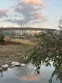 수원 산책하기 좋은 “일월수목원“🌲