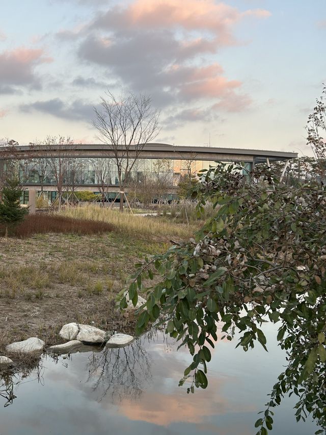 수원 산책하기 좋은 “일월수목원“🌲